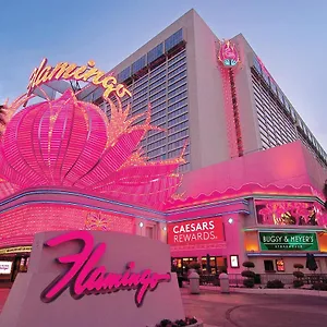 Flamingo Hotel&casino Ośrodek wypoczynkowy Las Vegas